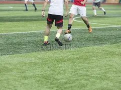 Carla Jade,拳击界的异,类讲述最艰,乐鱼足球,足球比赛数据,足球赛事资讯,足球赛事信息,足球赛事平台