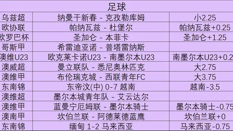 终极指南：武汉主场迎战天山，20天连胜之路，如何继续高歌猛进
